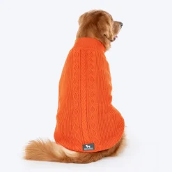 HUFT Winter Spice Sweater For Dog - Orange