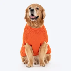 HUFT Winter Spice Sweater For Dog - Orange