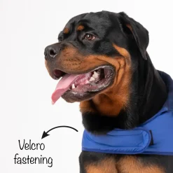 HUFT Wintersong Corduroy Reversible Dog Jacket - Blue