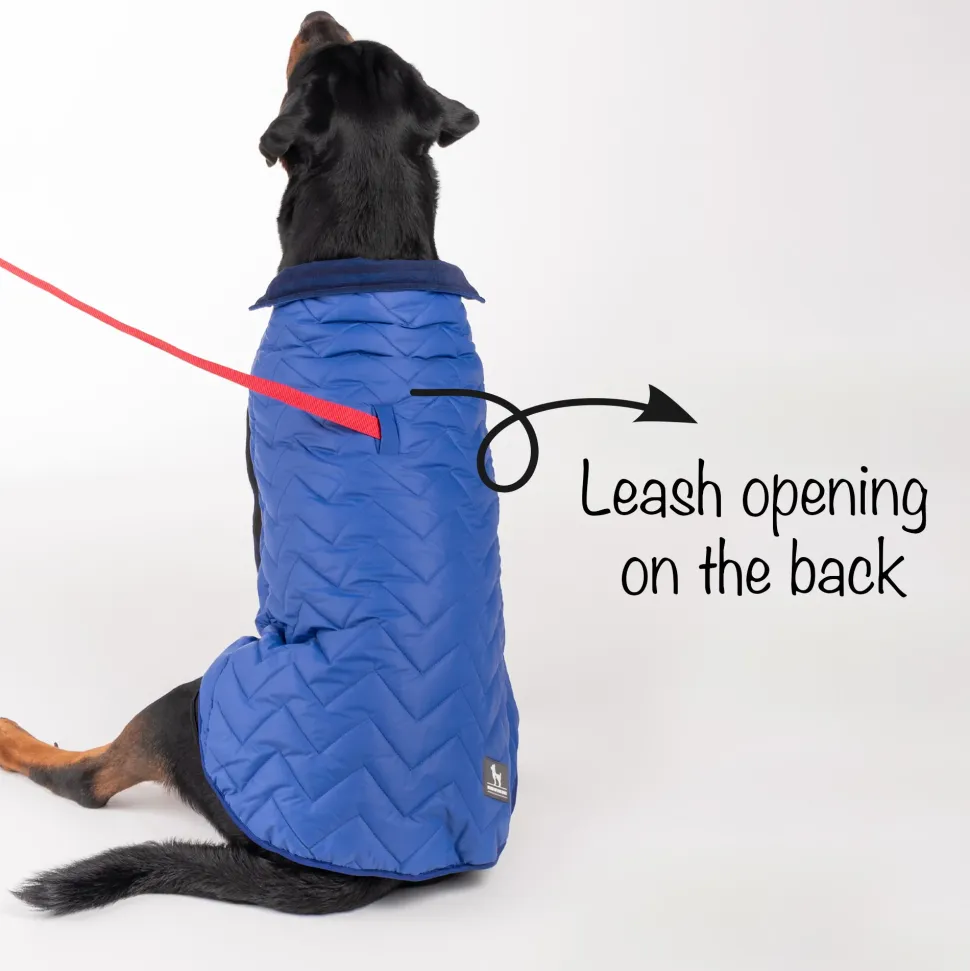 HUFT Wintersong Corduroy Reversible Dog Jacket - Blue