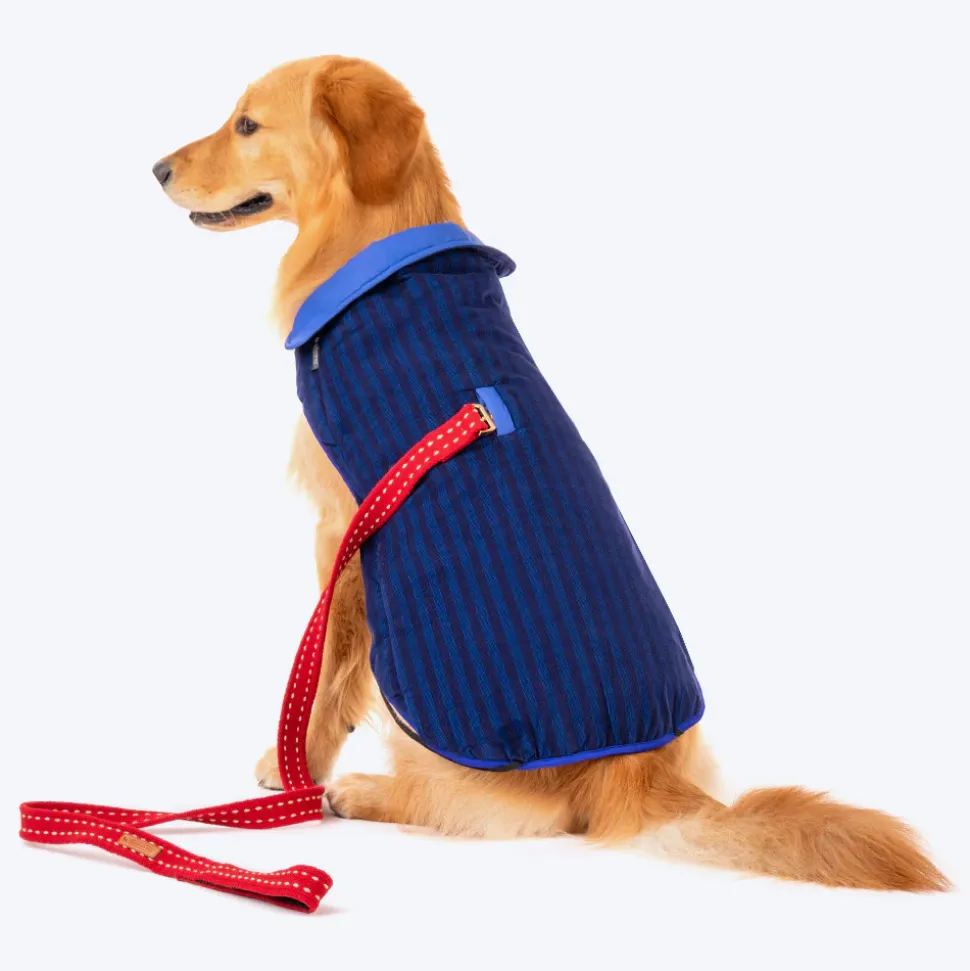 HUFT Wintersong Corduroy Reversible Dog Jacket - Blue