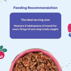 HUFT All Day Muesli with Strawberry, Blueberry and Cranberry Doggie Treats - 250 g