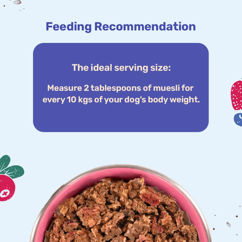 HUFT All Day Muesli with Strawberry, Blueberry and Cranberry Doggie Treats - 250 g