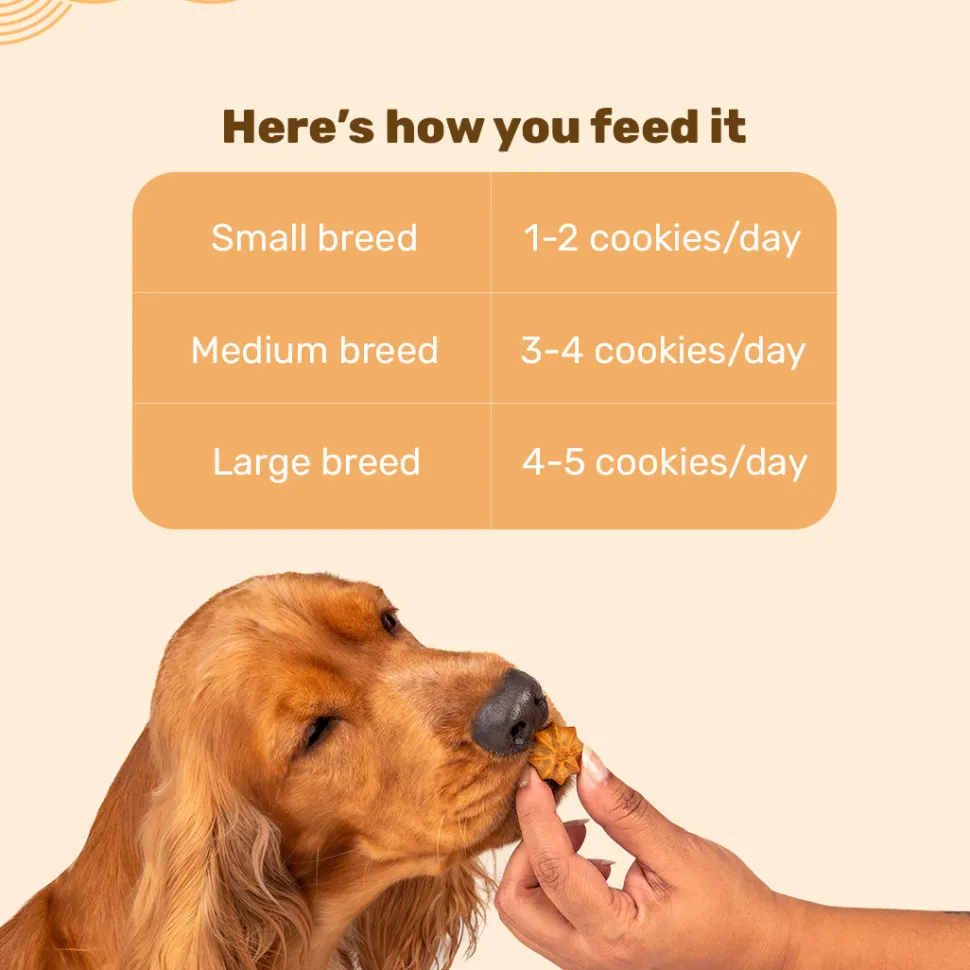 HUFT All In One Goat Milk Cookies Combo