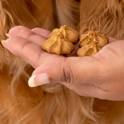 HUFT All In One Goat Milk Cookies Combo