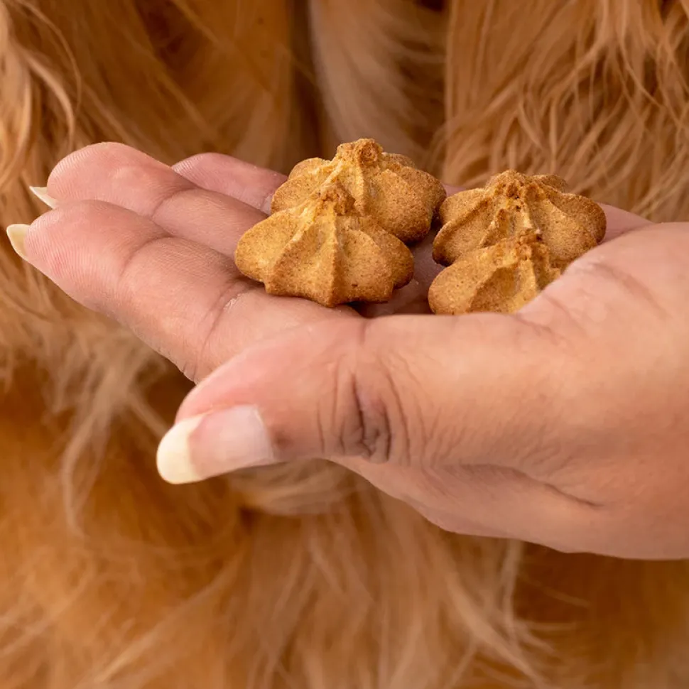 HUFT All In One Goat Milk Cookies Combo