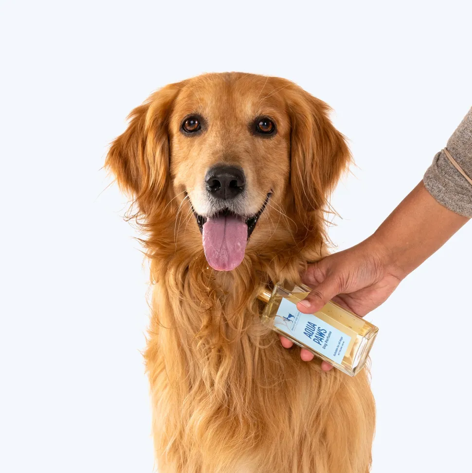 HUFT Aqua Paws Dog Perfume (Over 12 Weeks) - 100 ml