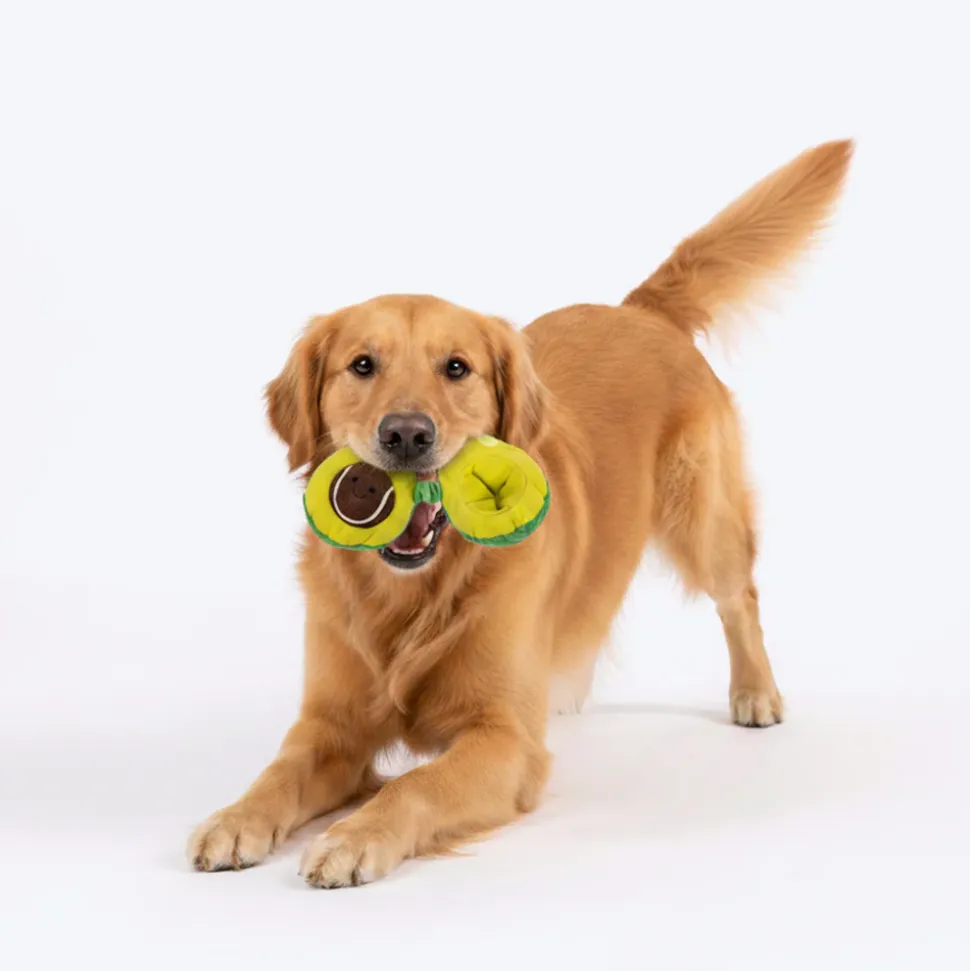 HUFT Avocadoggo Plush Toy With Ball For Dog - Green