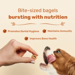 HUFT Bagel Bites Made With Real Chicken & Cheese Treat For Dog - 140 gm