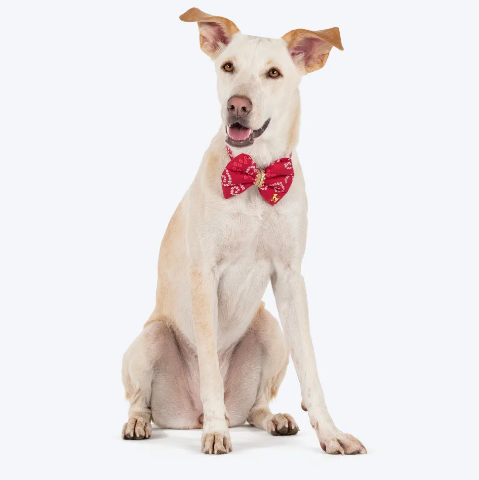 HUFT Bandhani Breeze Bowtie With Strap For Dog - Red