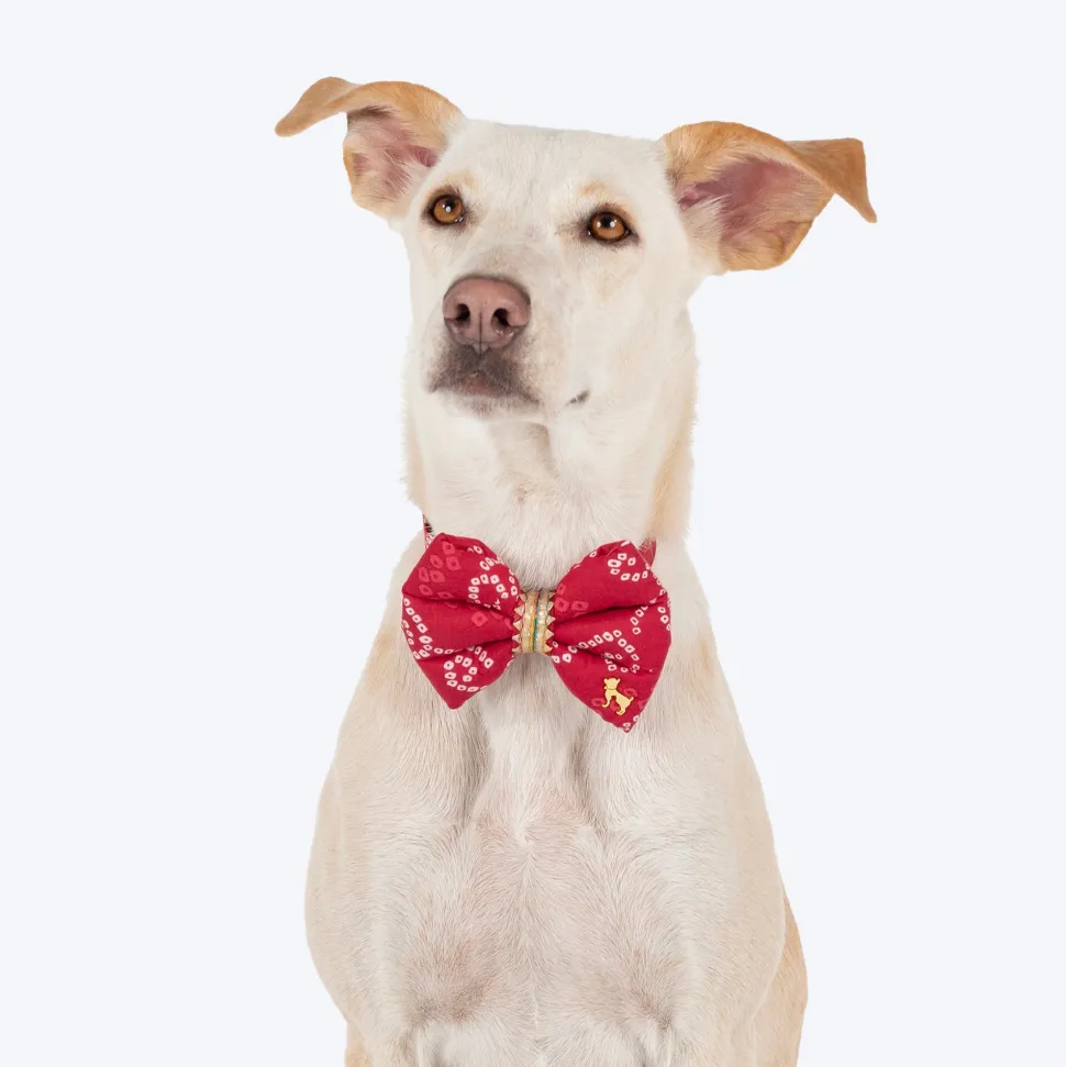 HUFT Bandhani Breeze Bowtie With Strap For Dog - Red