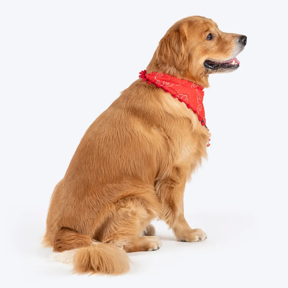 HUFT Bandhani Breeze Knot Bandana For Dog - Red