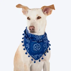 HUFT Bandhani Breeze Knot Bandana For Dog - Blue