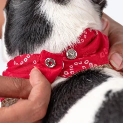 HUFT Bandhani Breeze Scarf For Dog & Cat - Red