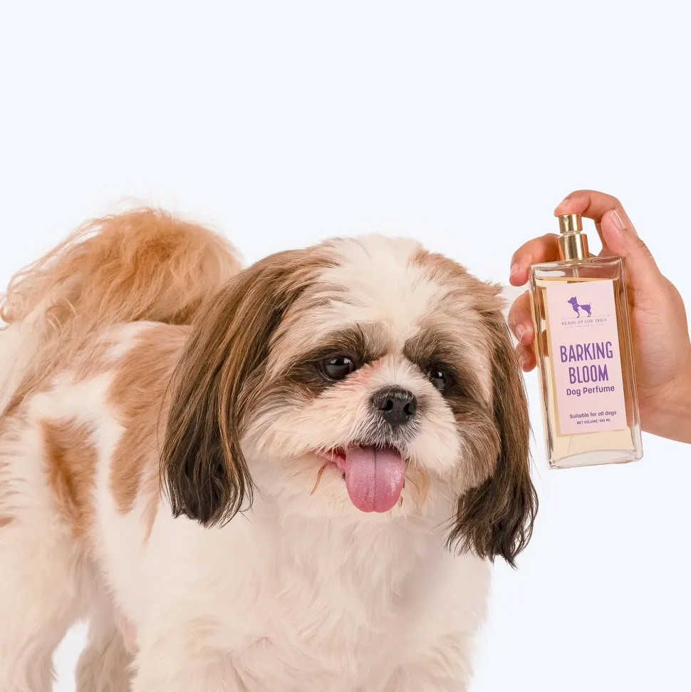 HUFT Barking Bloom Dog Perfume (Over 12 Weeks) - 100 ml