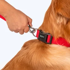 HUFT Basics Dog Collar - Crimson Red