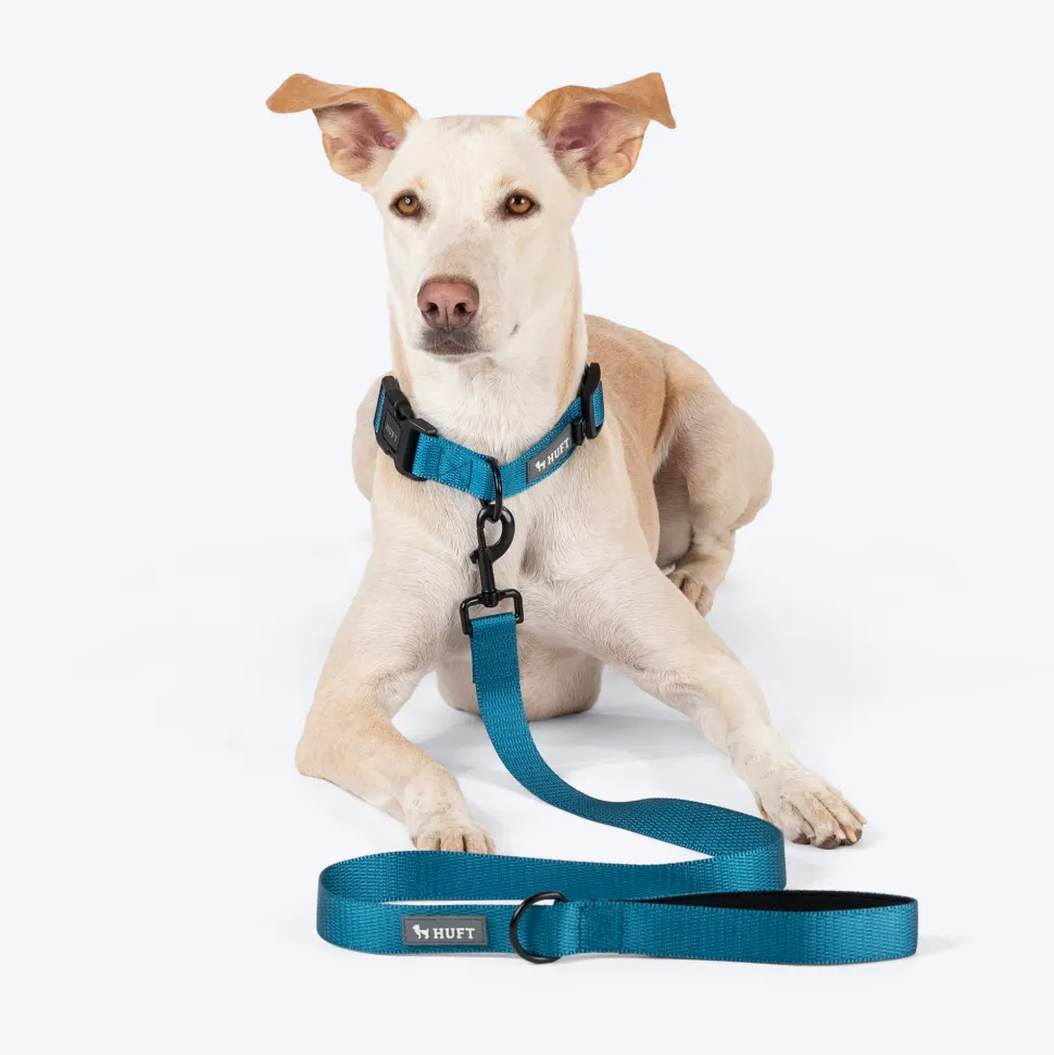 HUFT Basics Dog Collar - Teal Blue