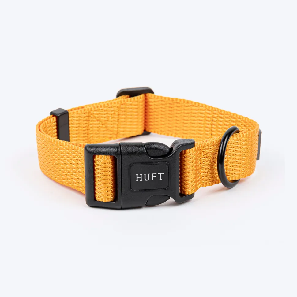 HUFT Basics Dog Collar - Yellow