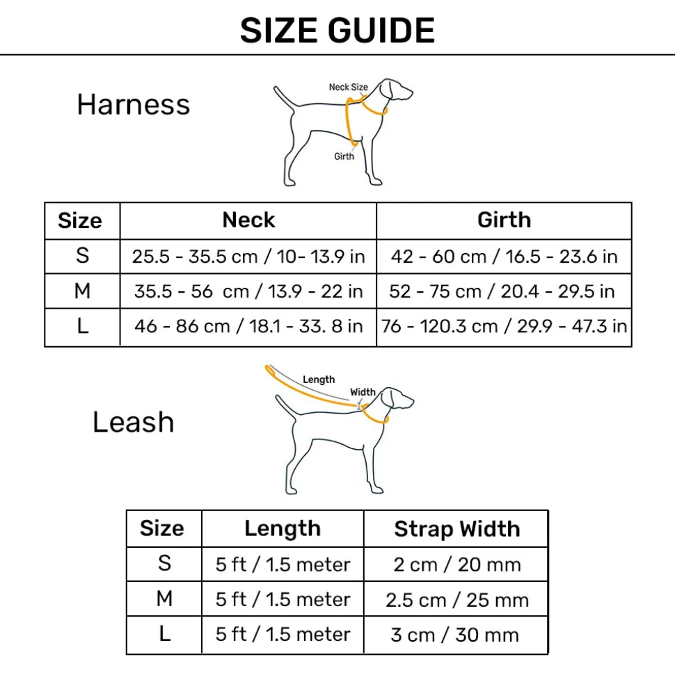 HUFT Basics Dog H-Harness & Leash Set - Cobalt Blue