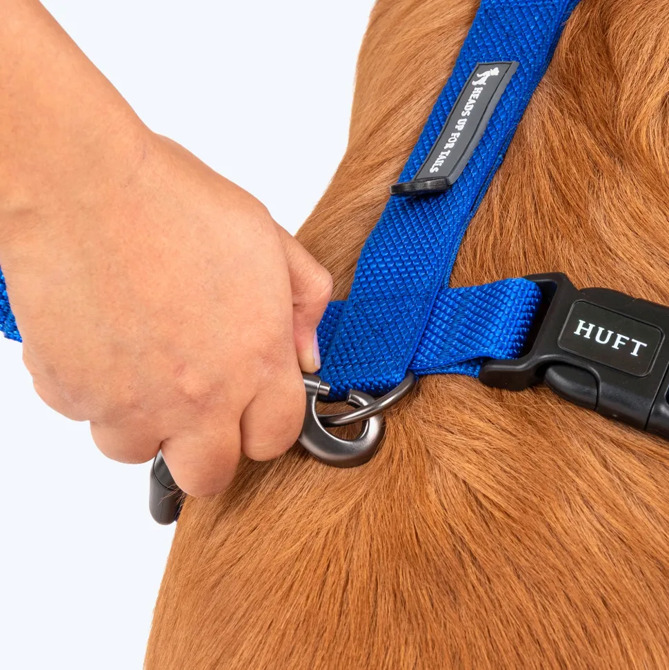HUFT Basics Dog H-Harness & Leash Set - Cobalt Blue