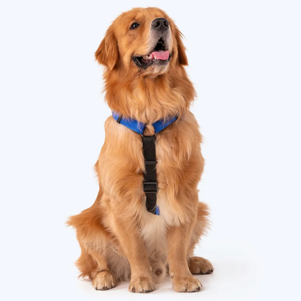 HUFT Basics Dog H-Harness & Leash Set - Cobalt Blue