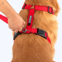 HUFT Basics Dog H-Harness & Leash Set - Crimson Red