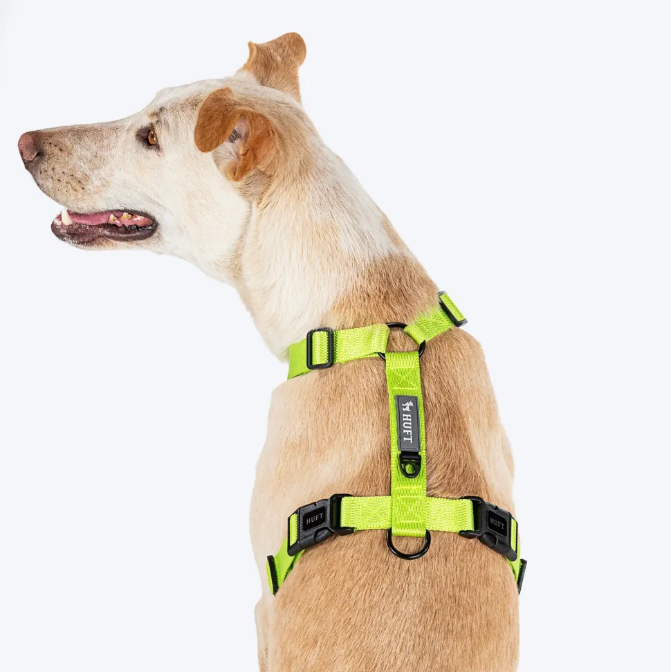 HUFT Basics Dog H Harness - Neon Green & Blue