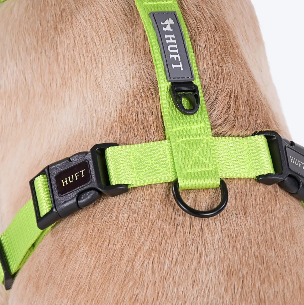 HUFT Basics Dog H Harness - Neon Green & Blue