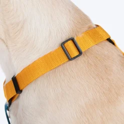 HUFT Basics Dog H Harness - Yellow & Blue