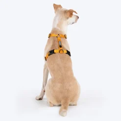 HUFT Basics Dog H Harness - Yellow & Blue