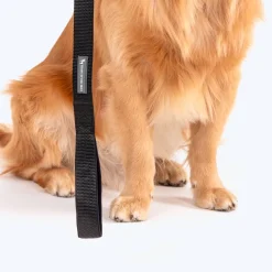 HUFT Basics Dog Leash - Classic Black