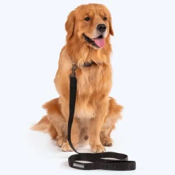 HUFT Basics Dog Leash - Classic Black