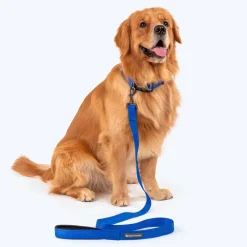 HUFT Basics Dog Leash - Cobalt Blue