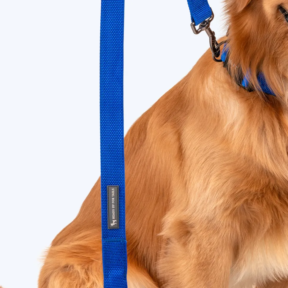 HUFT Basics Dog Leash - Cobalt Blue