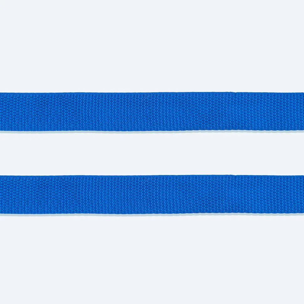 HUFT Basics Dog Leash - Cobalt Blue