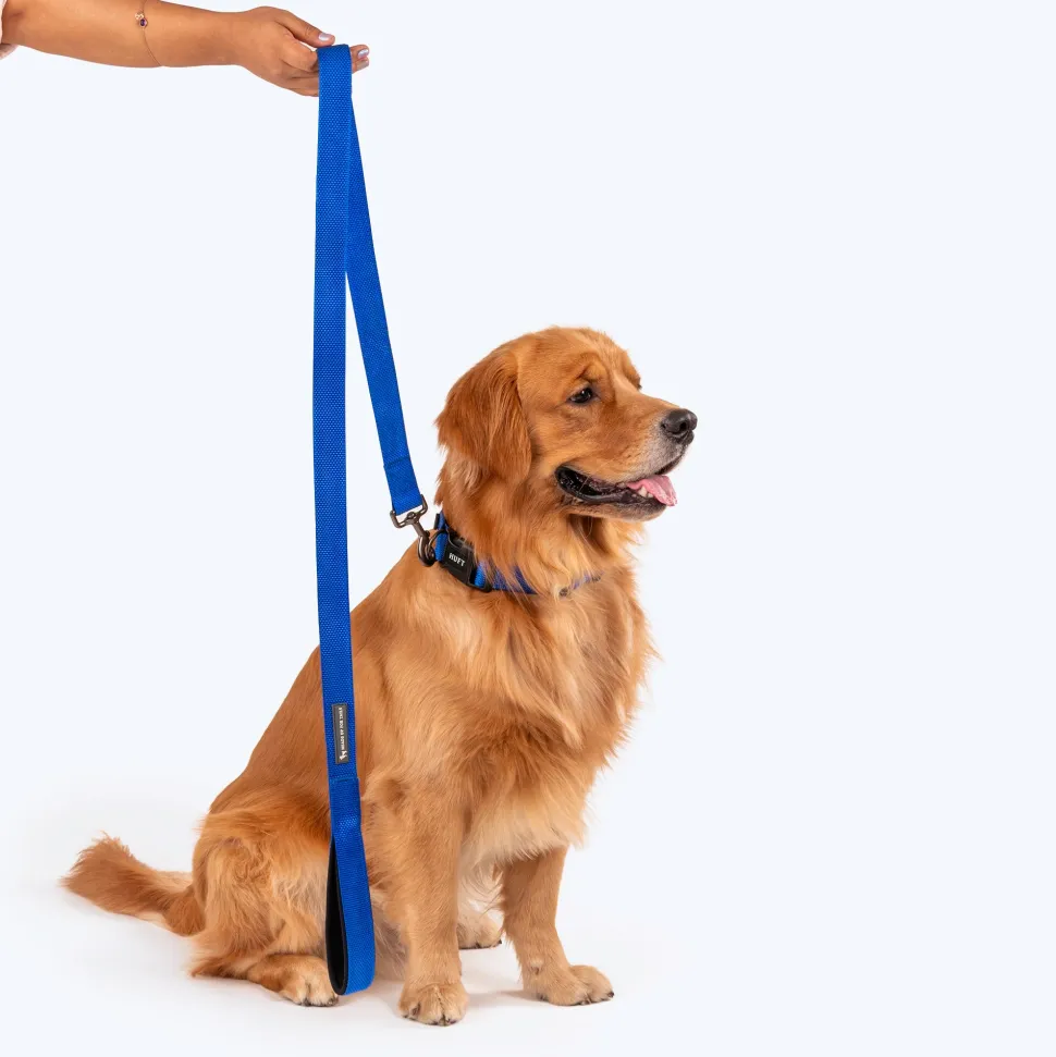 HUFT Basics Dog Leash - Cobalt Blue