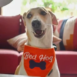 HUFT Bed Hog Dog Bandana