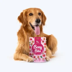 HUFT Berry Bites - Chicken & Raspberries Treats For Dogs - 140 g