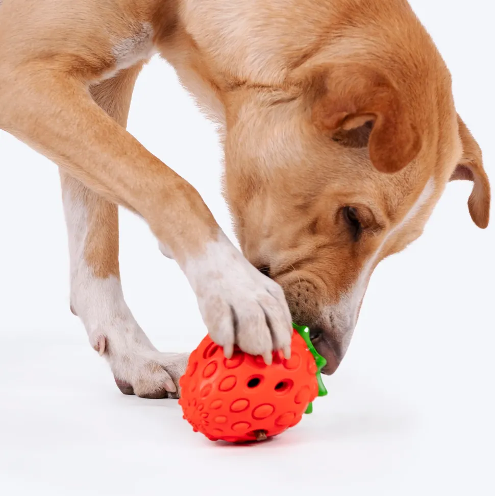 HUFT Berry Chew Toy For Dog - Red & Green
