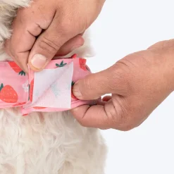 HUFT Berrylicious Printed Dress For Dog - Baby Pink