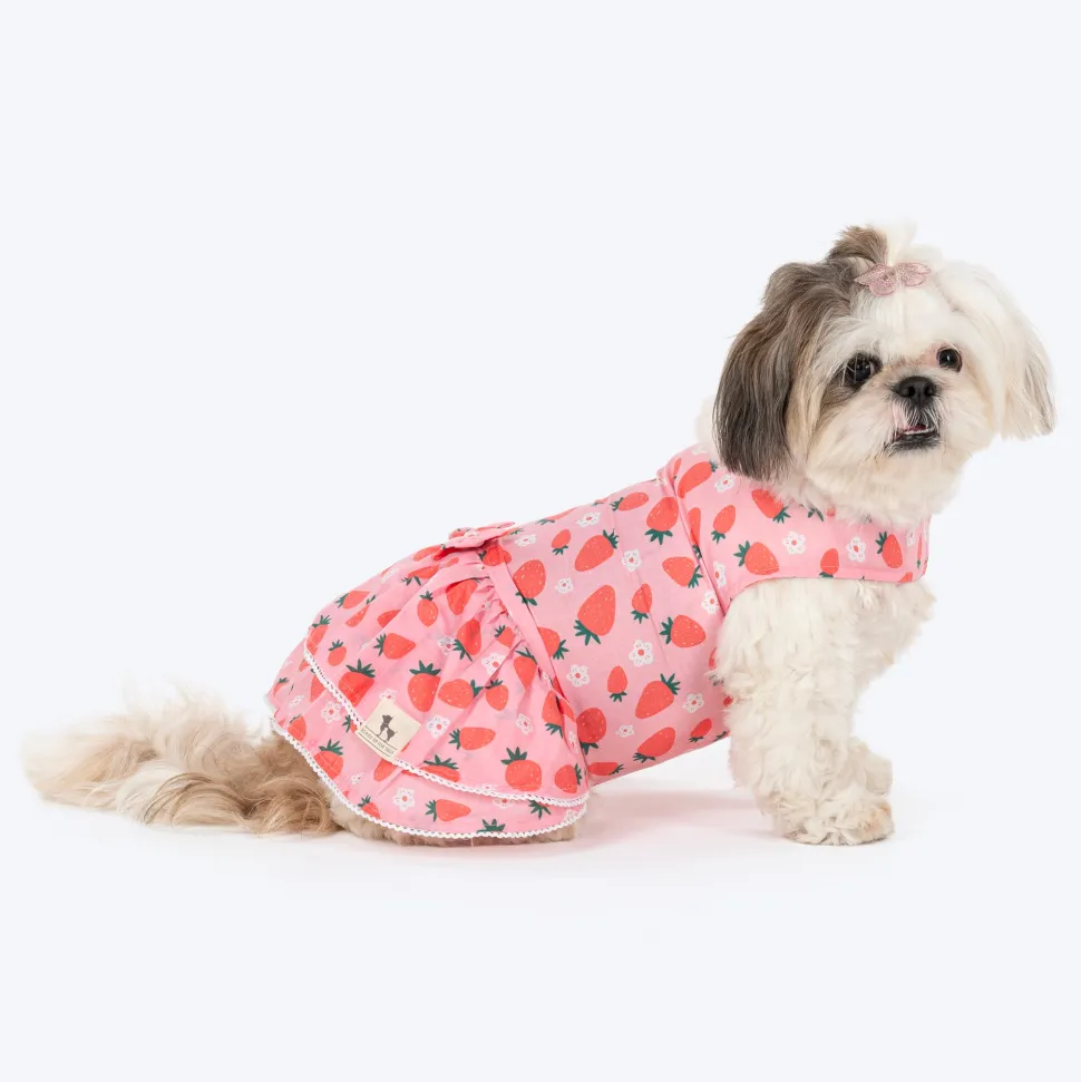 HUFT Berrylicious Printed Dress For Dog - Baby Pink
