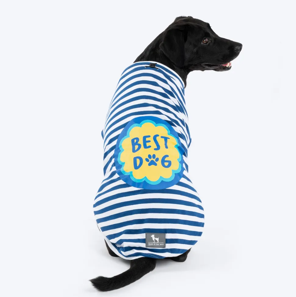 HUFT Best Dog Striped T-Shirt For Dog - Navy Blue & White