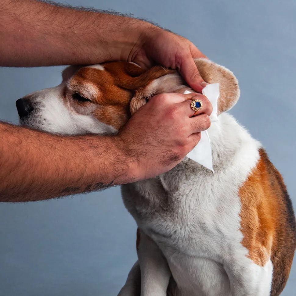 HUFT Biodegradable Pet Wipes