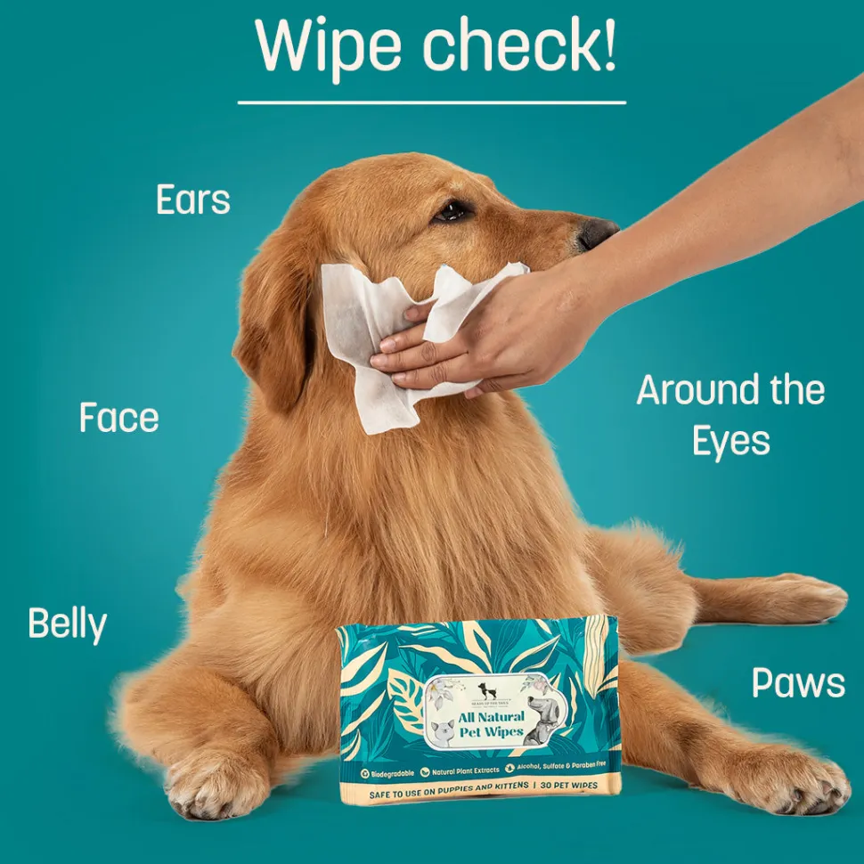 HUFT Biodegradable Pet Wipes