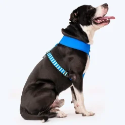 HUFT Blazing Blue Dog Reversible Harness