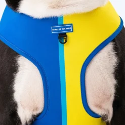 HUFT Blazing Blue Dog Reversible Harness