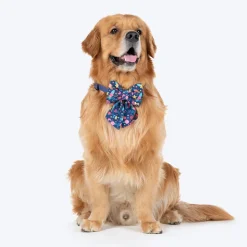 HUFT Bloomscape Printed Lady Bow Tie for Dog - Navy