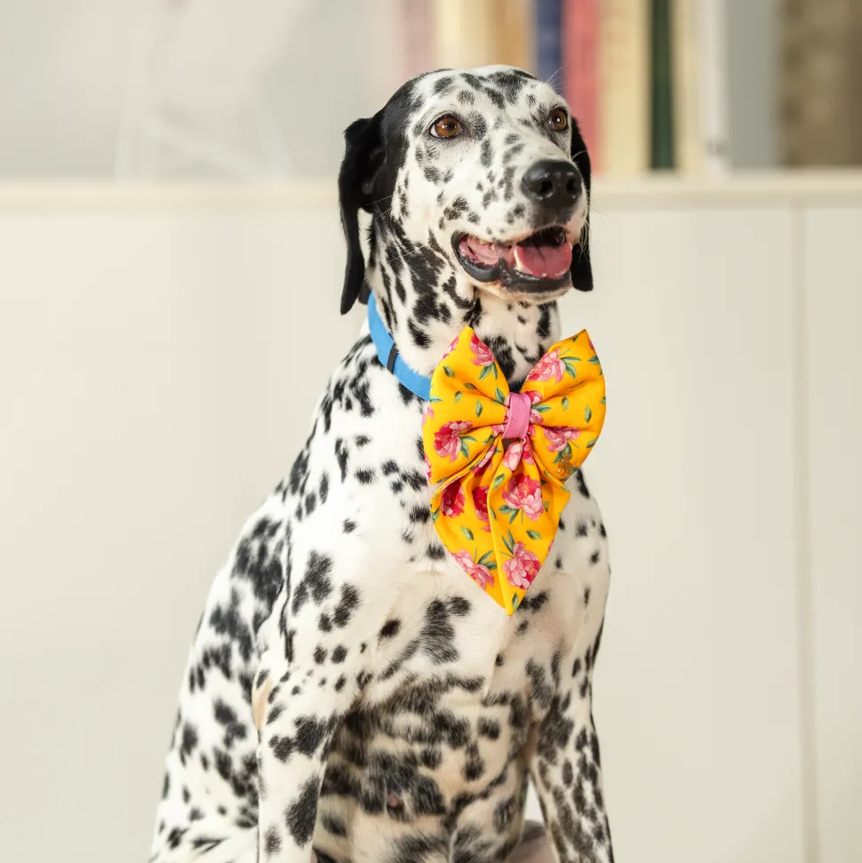 HUFT Blush Bloom Lady Bow Tie For Dog - Yellow