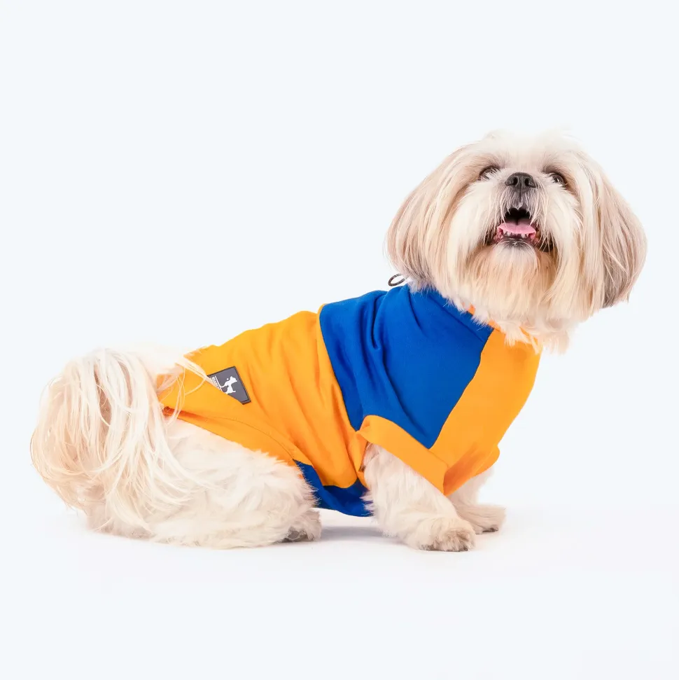 HUFT Breezy Boo Vest For Dogs - Yellow & Blue