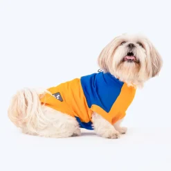 HUFT Breezy Boo Vest For Dogs - Yellow & Blue